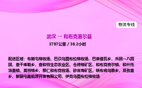 武汉到和布克赛尔县物流公司|武汉至和布克赛尔县物流专线|零担托运